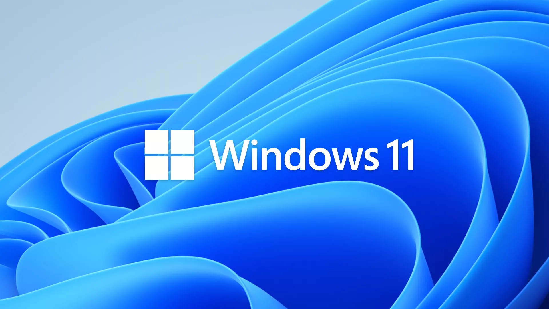 Обновление Windows 11 повредило настройки мыши и сломало Defender