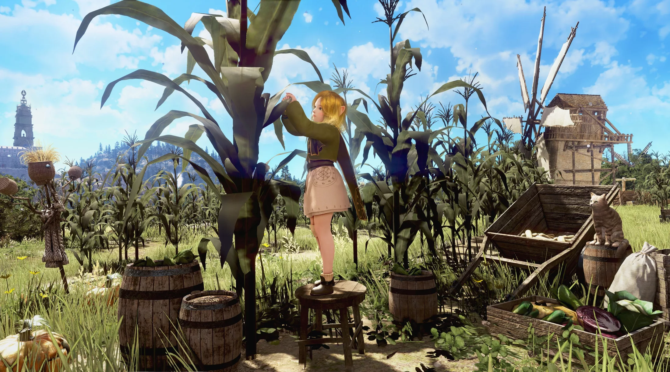 Black Desert: Heidel Ball Rewards and Gathering Events