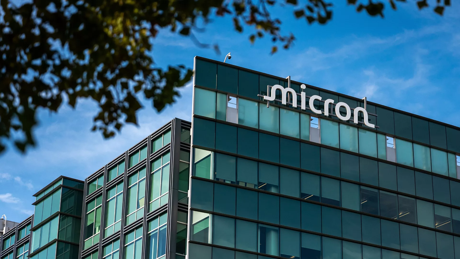 YMTC выиграла патентный спор у Micron: под угрозой поставки в Германию